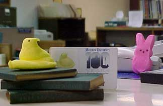 photo of Peeps checking out books with library card