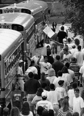 Buses in 1993