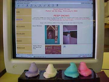 photo of Peeps using the internet