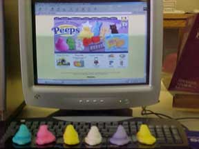 photo of Peeps looking at Peeps website