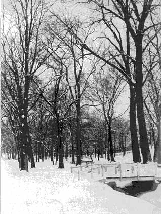 1905 campus scene