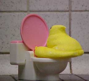 photo of Peep using the bathroom