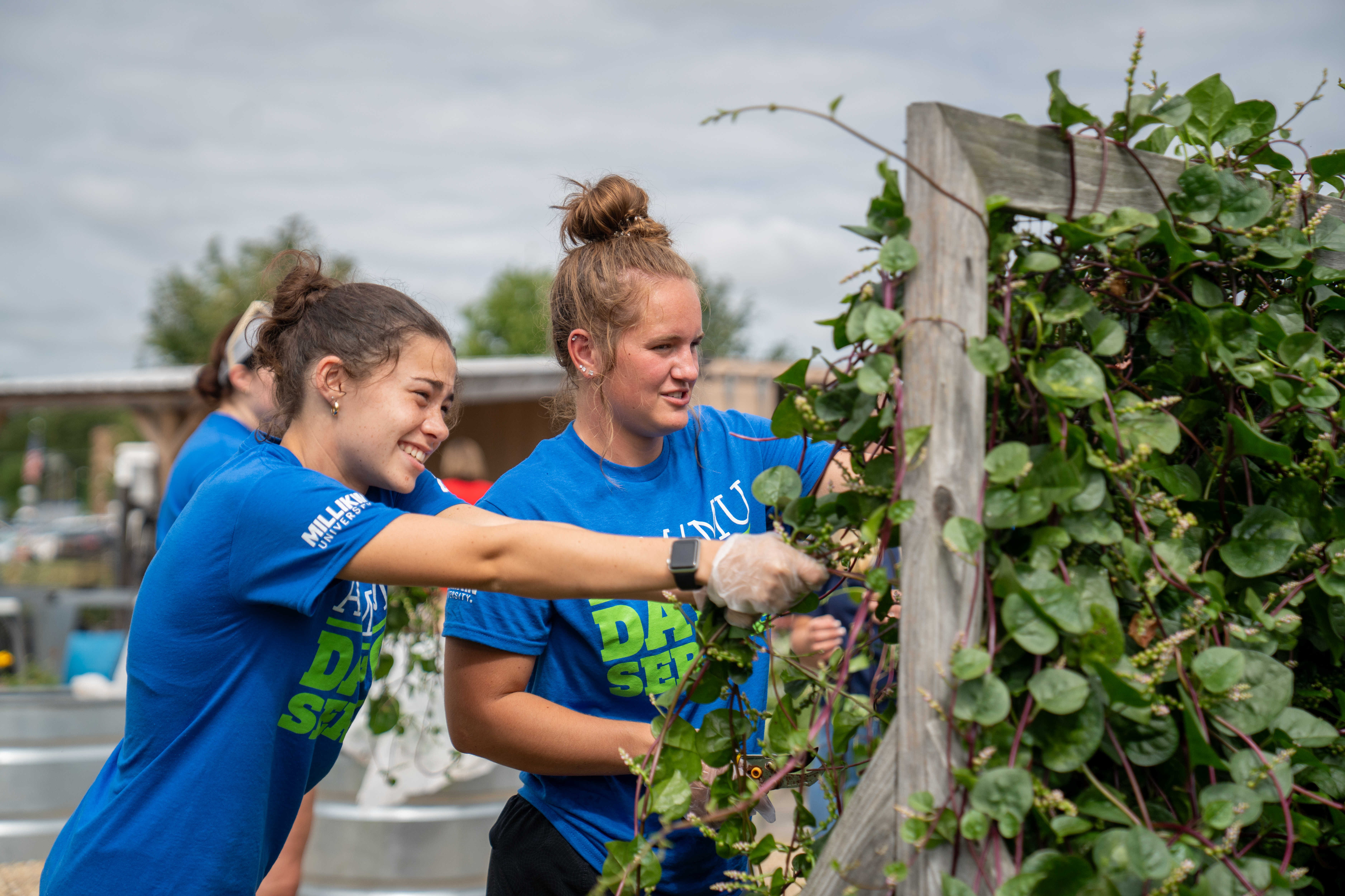 Day of Service