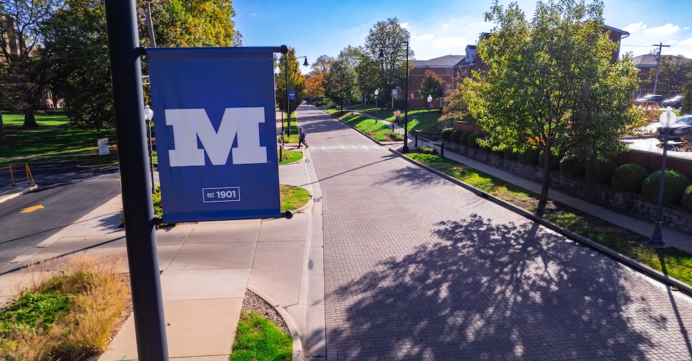 millikin pole flag