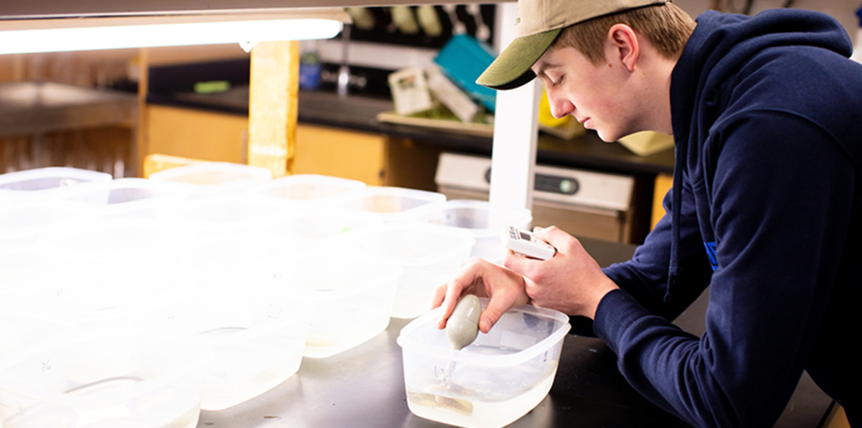 Pre-Medicine | Millikin University