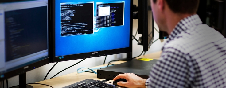 person looking at computer screen