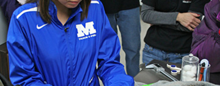 Student spreading wing of an owl