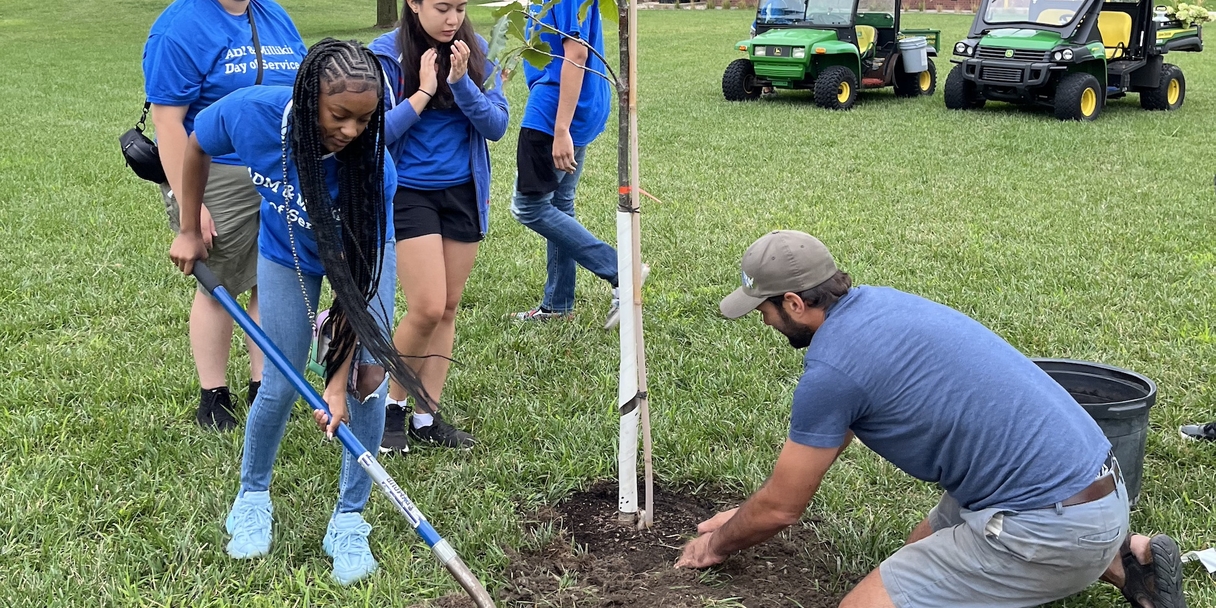 Volunteers planting a tree