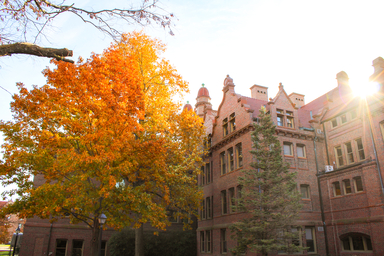 Fall at Millikin
