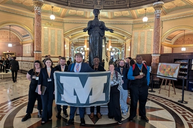 Model Illinois Government