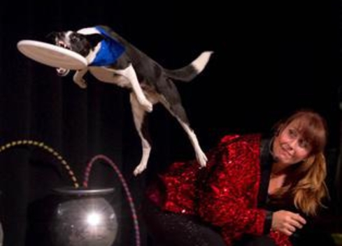 Cirque du Canines