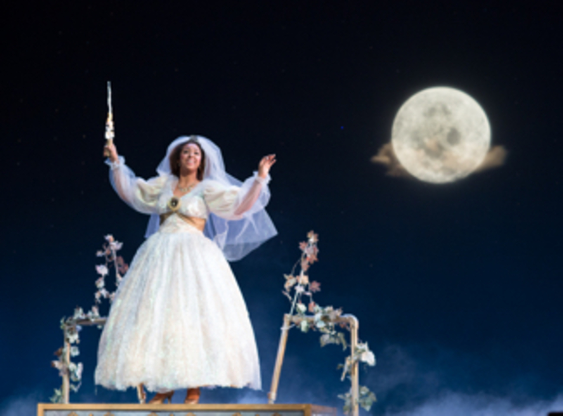 Fairy Godmother